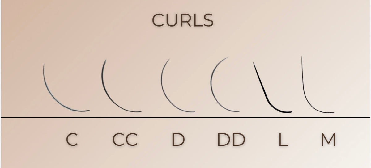 L Curl Dark Chocolate | Scandinavian Style – Brown Collection