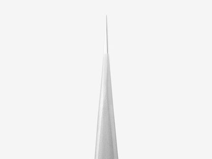 Professional eyelash tweezers EXPERT 41 TYPE 10 (straight)